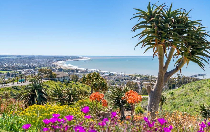 Ventura Botanical Gardens, United States